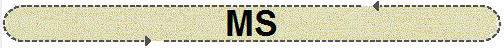 MS