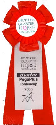 fohlencup_schleife_rot_2