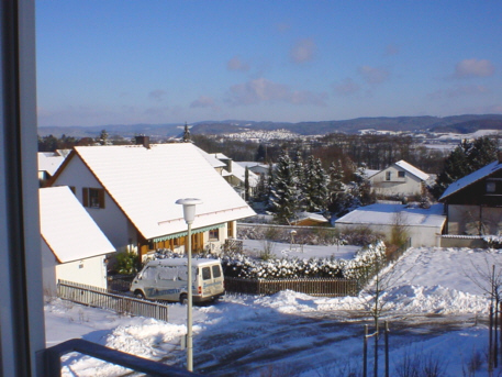 Dsc00147_1.jpg (100650 bytes)