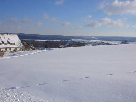 Dsc00153_1.jpg (65932 bytes)